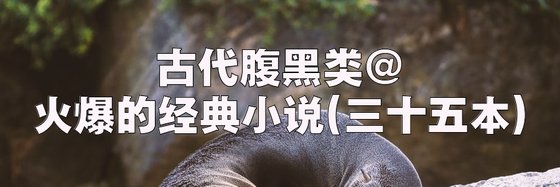 古代腹黑类@火爆的经典小说(三十五本)